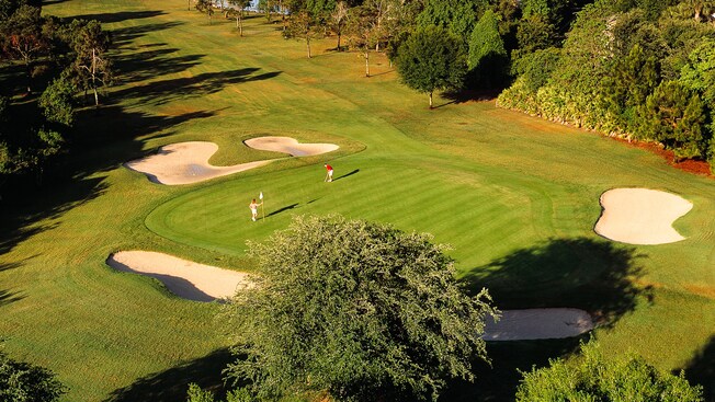 Lake Buena Vista Course