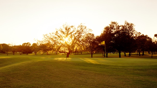 Oak Trail Course