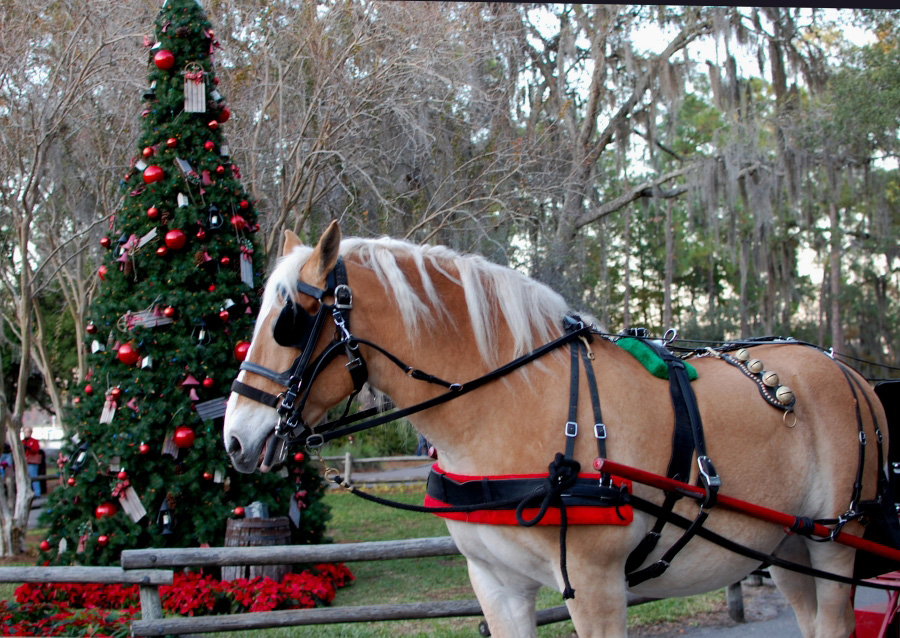 A Sleigh Full of Fun at Walt Disney World Disney Parks Blog