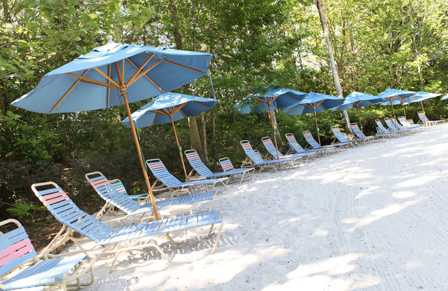 Enjoying Polar Patios at Disney’s Blizzard Beach Water Park Disney