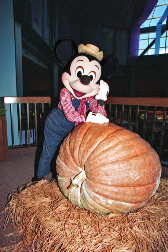 Vintage Walt Disney World: Mickey and the Mammoth Pumpkin ...