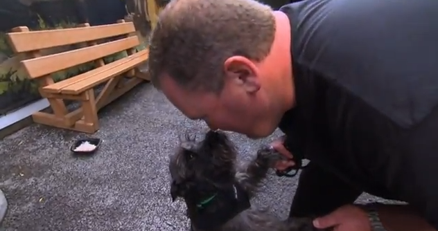 Kennel grab