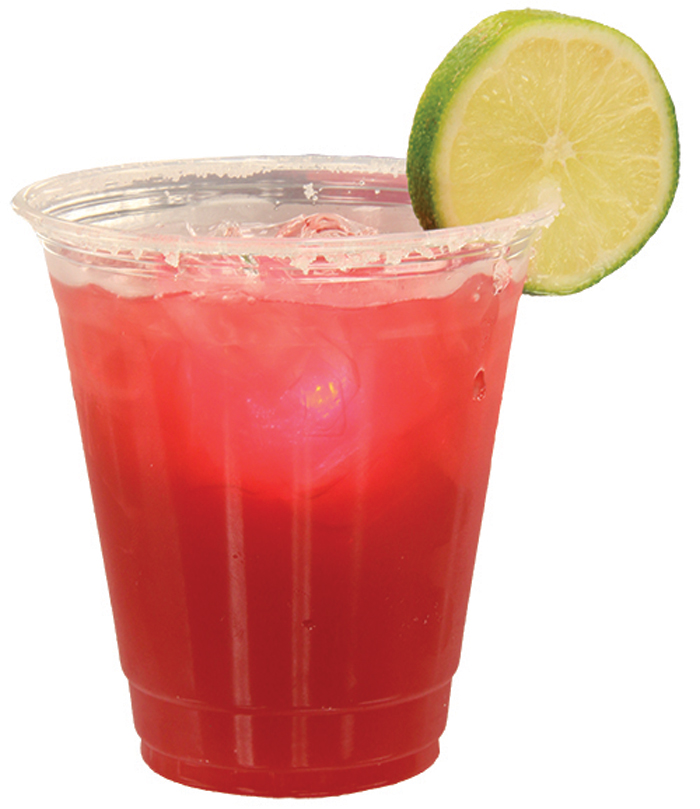 ‘Frozen’ Summer Fun Includes Treats for Cooling Down at Disney’s