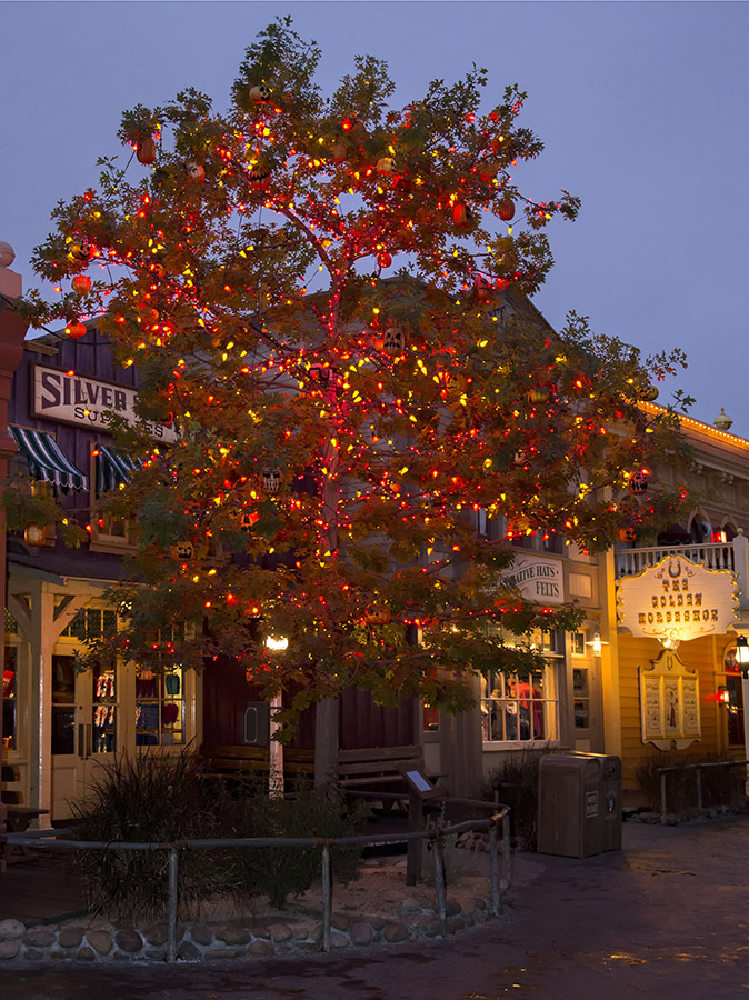 the halloween tree at disneyland park disney parks blog