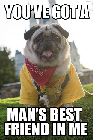 Favorite Memes from Disney Side Dog’s Day at Magic Kingdom | Disney