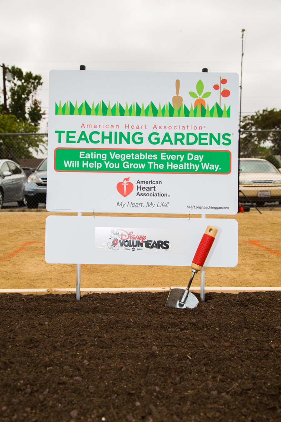 Disney Voluntears American Heart Ociation And Walt Disney Voluntears American Heart Ociation And Walt Elementary School Build First Teaching Garden In