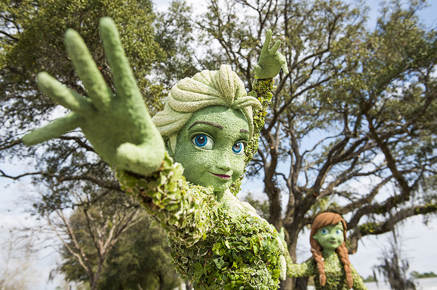 Festive Look Topiaries First Look at Anna & Elsa Topiaries for the Epcot International Flower & Garden Festival