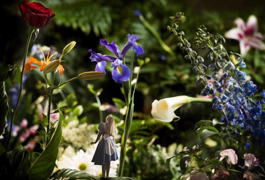 festival flowers inspires a unique alice in wonderland photo at walt disney world resort disney parks blog - Alice In Wonderland Garden festival flowers inspires a unique alice in wonderland photo at walt disney world resort disney parks blog - Alice In Wonderland Garden