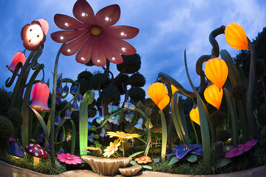 Image result for hong kong disneyland  fairy tale forest