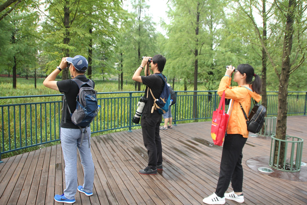 Wildlife Wednesday: Discovering the magic of nature at Shanghai Disney Resort