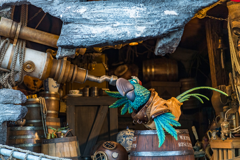 Miss Adventure Falls Opens Today at Disney’s Typhoon Lagoon Water Park