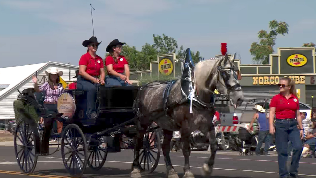 Disneyland Resort Horses Featured in Norco Labor Day Parade