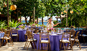 A Cast Member places water glasses on one of several outdoor banquet tables
A Cast Member places water glasses on one of several outdoor banquet tables