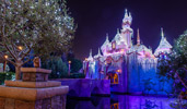 Seasonal Events Seasonal Events