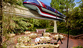 Cast members set up buffet stations for an outdoor event as a monorail glides by overhead
Cast members set up buffet stations for an outdoor event as a monorail glides by overhead