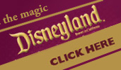 Web Banners & Buttons Web Banners & Buttons