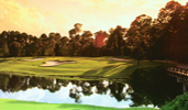 Disneys Magnolia Golf Course featuring greens surrounded by trees and a body of water Disneys Magnolia Golf Course featuring greens surrounded by trees and a body of water