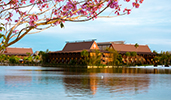 Disney's Polynesian Resort Disney's Polynesian Resort