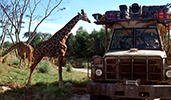Disney's Animal Kingdom Theme Park Disney's Animal Kingdom Theme Park