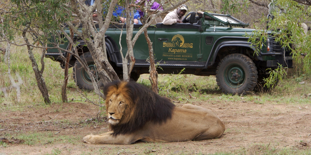 Kapama Game Reserve Tour Adventures by Disney