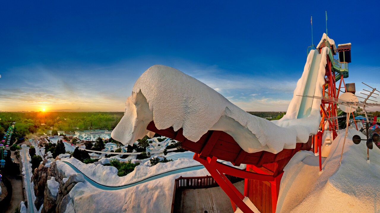 Walt Disney World: Disney Water Parks Splash the day away in a frosty winter wonderland or a lush island paradise.