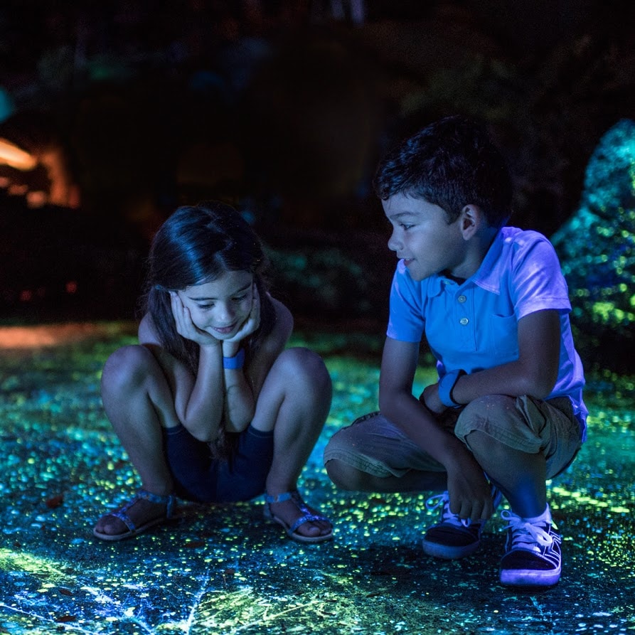 Dois irmãos apreciam encantados os efeitos bioluminescentes de Pandora – The World of Avatar