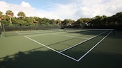 Two hard-court tennis courts bordered by trees