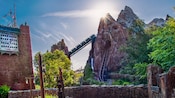 画像はWEBサイトのOGPタグから引用しています Walt Disney World