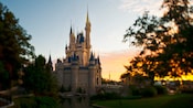 画像はWEBサイトのOGPタグから引用しています Walt Disney World