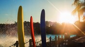Three surfboards stand upright next to Disney's Typhoon Lagoon Surf Pool