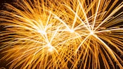 Fireworks illuminating the night sky