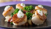 A serving of the seared scallops appetizer