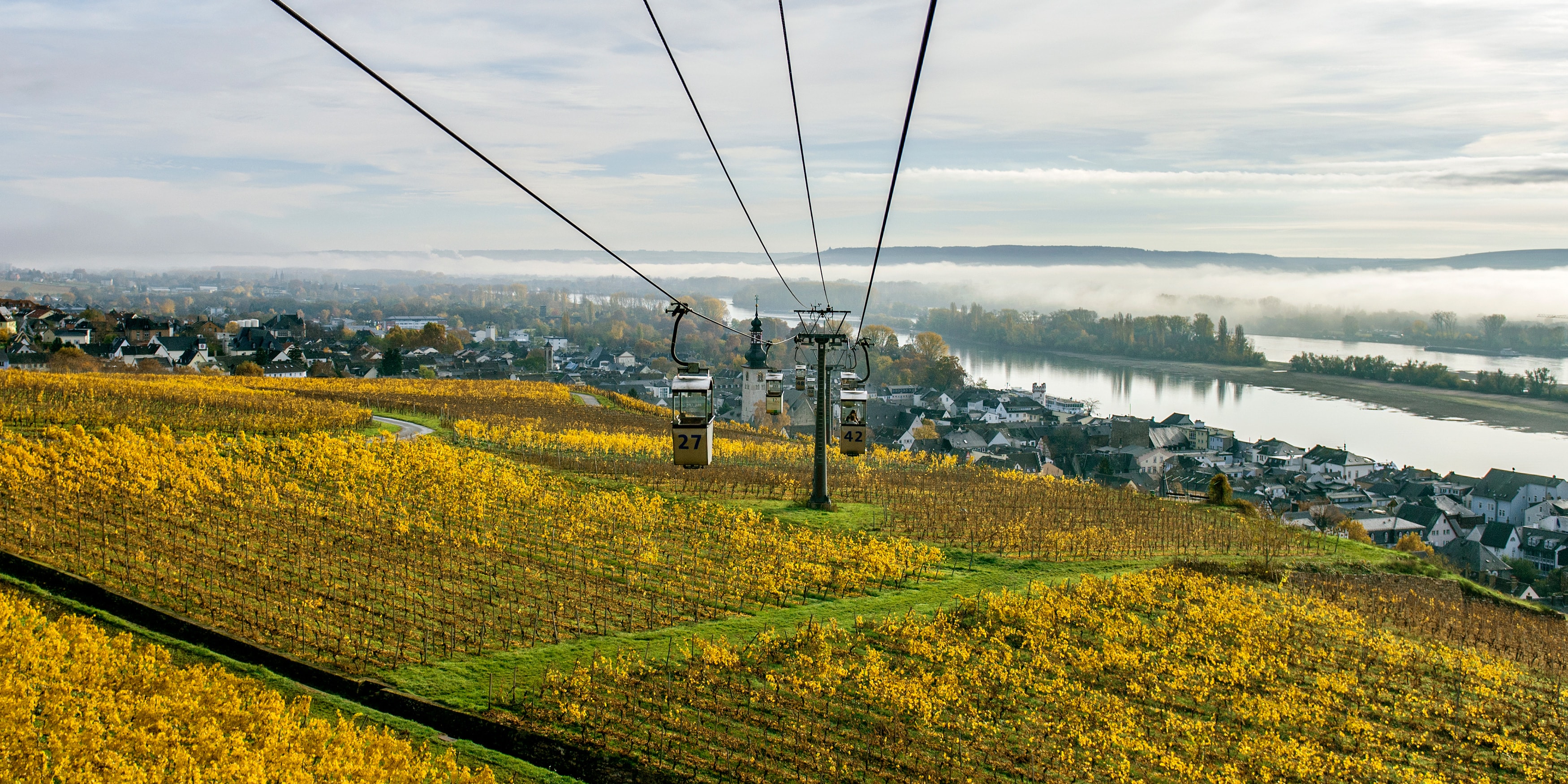 A gondola stretches out over a pastoral setting Rüdesheim
