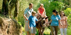 A boy rides a donkey led by an Adventure Guide while his mom, dad and brother walk along