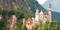 Neuschwanstein Castle stands amongst trees on a mountainside
