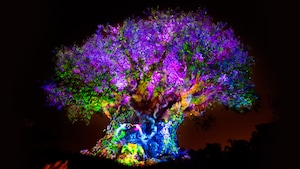 Disney's Animal Kingdom® Theme Park Disney's Animal Kingdom® Theme Park