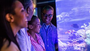 A man and his wife laughing together while gazing upon underwater habitats in Future World at Epcot