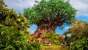The Tree of Life stands tall amid lush greenery at the center of Disney’s Animal Kingdom theme park