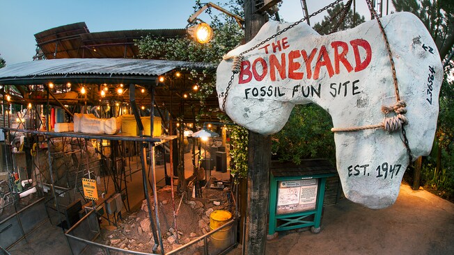 the-boneyard-00.jpg