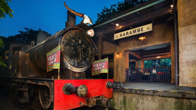 Wildlife Express Train Animal Kingdom Attractions Walt