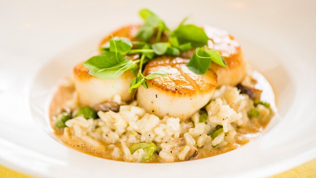 Garnished scallops sit on a bed of risotto