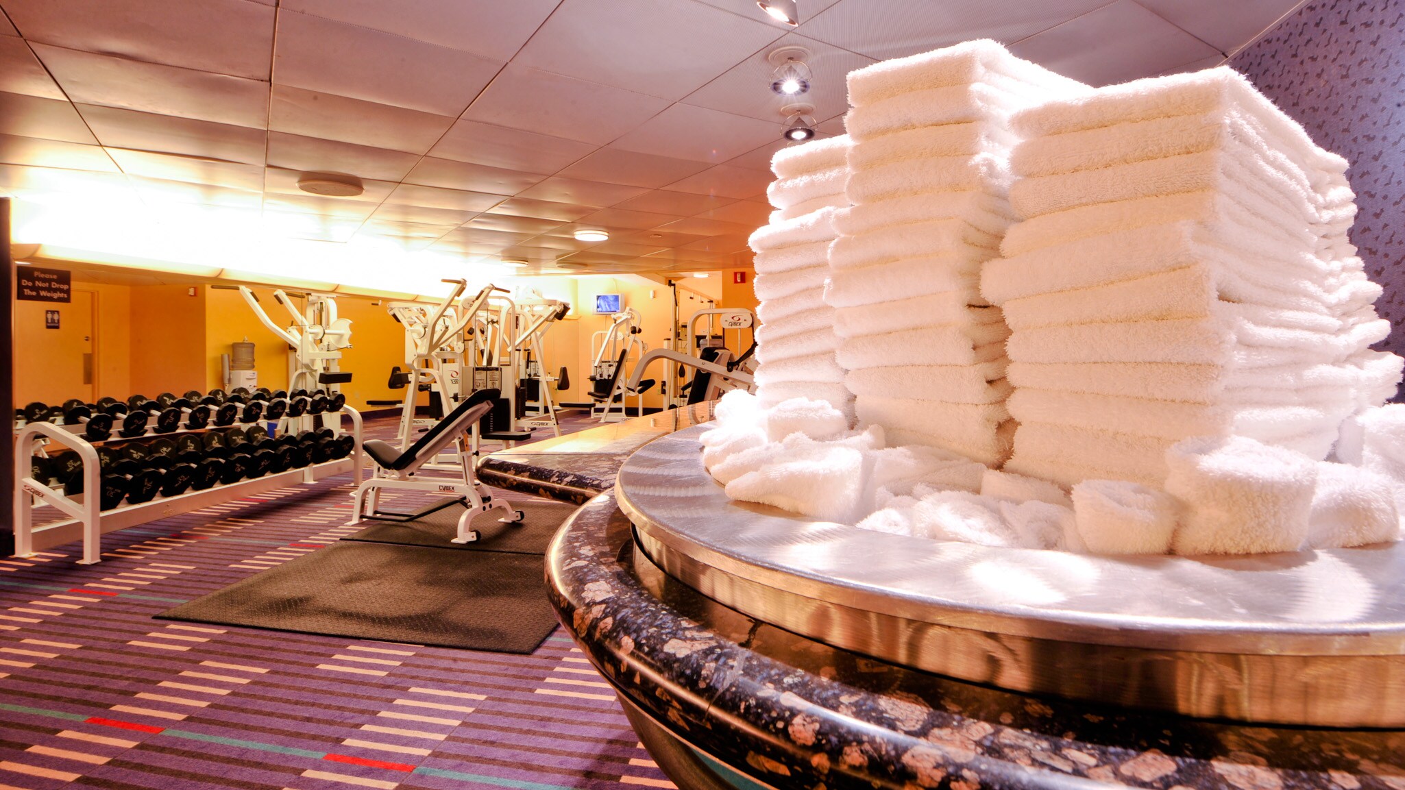 Olympiad Fitness Center Walt Disney World Resort