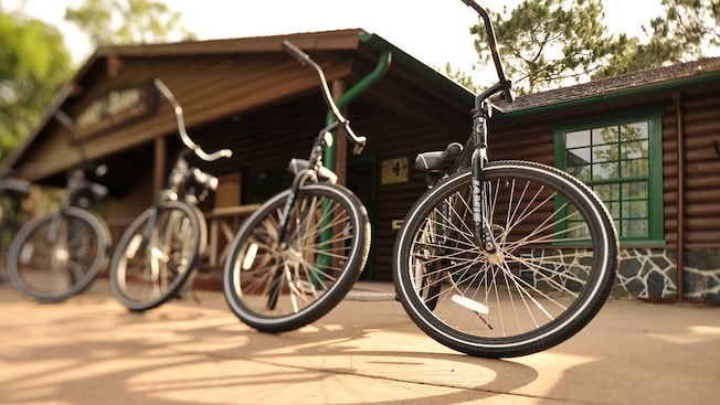 4 bicycles lined up in front of a rental shop