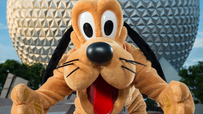 With outstretched arms, Pluto stands in front of Spaceship Earth at Epcot