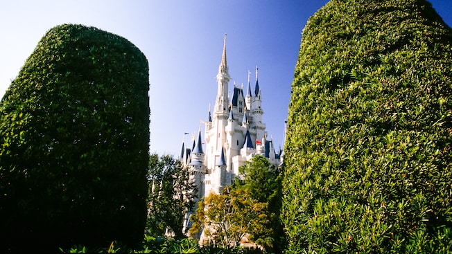 Disney's VIP Tour Services