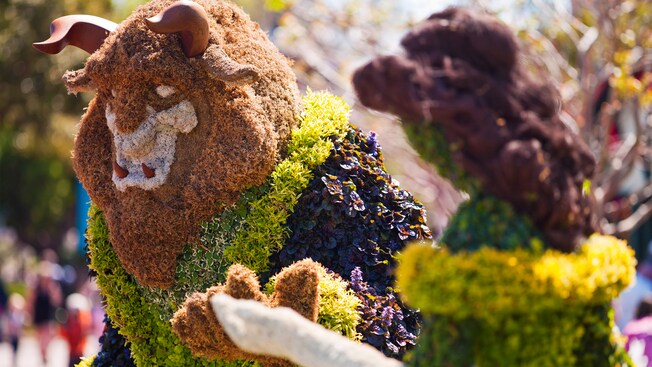 A colorful topiary display featuring Beast from Disney's Beauty and the Beast