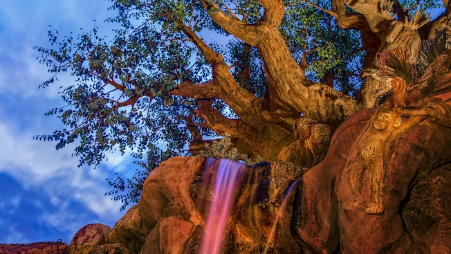 A small waterfall dropping from the roots of the Tree of Life