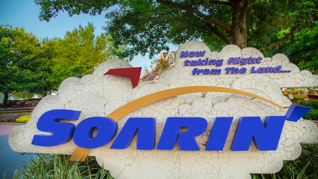 An outdoor Soarin' sign with the phrase,