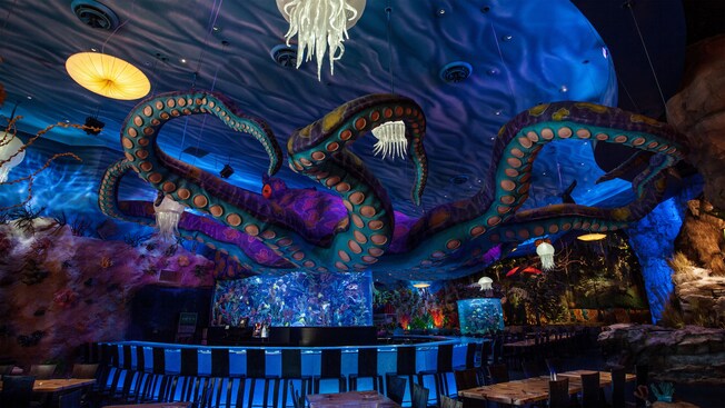 Um polvo gigante espalha seus tentáculos sobre um bar com temática do fundo do mar