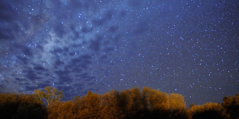 The night sky filled with stars